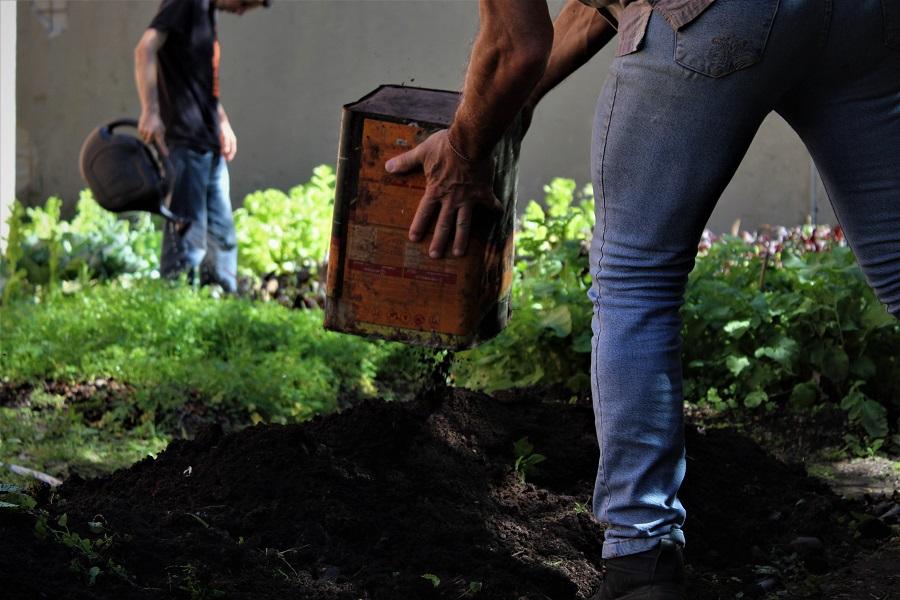 Guaíba terá seis hortas urbanas, adquiridas através de programa do governo estadual