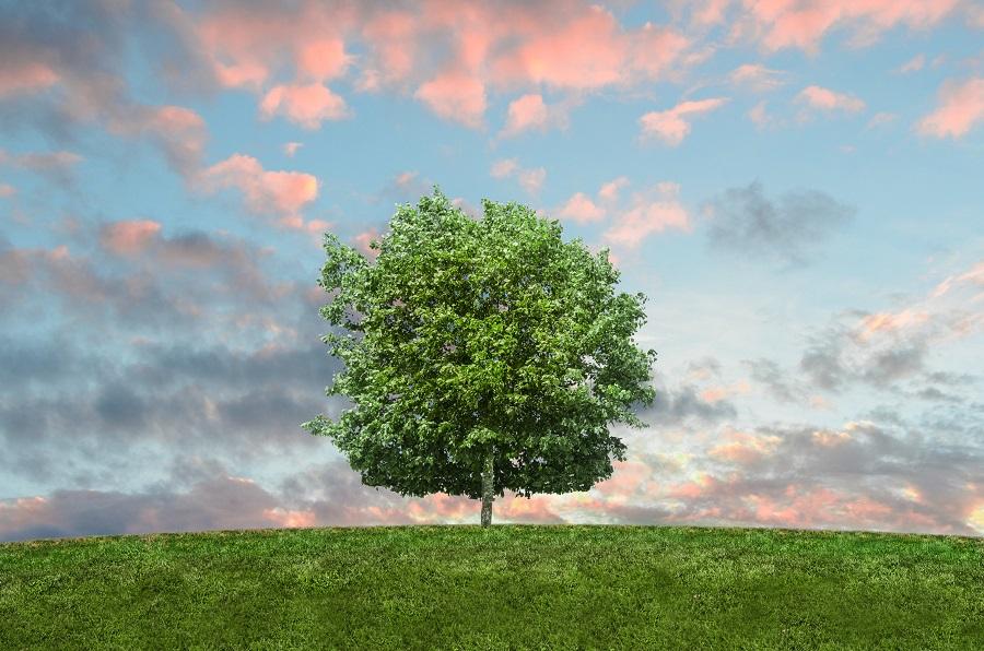 O Fundo Nacional do Meio Ambiente: sociedade e entidades excluídas