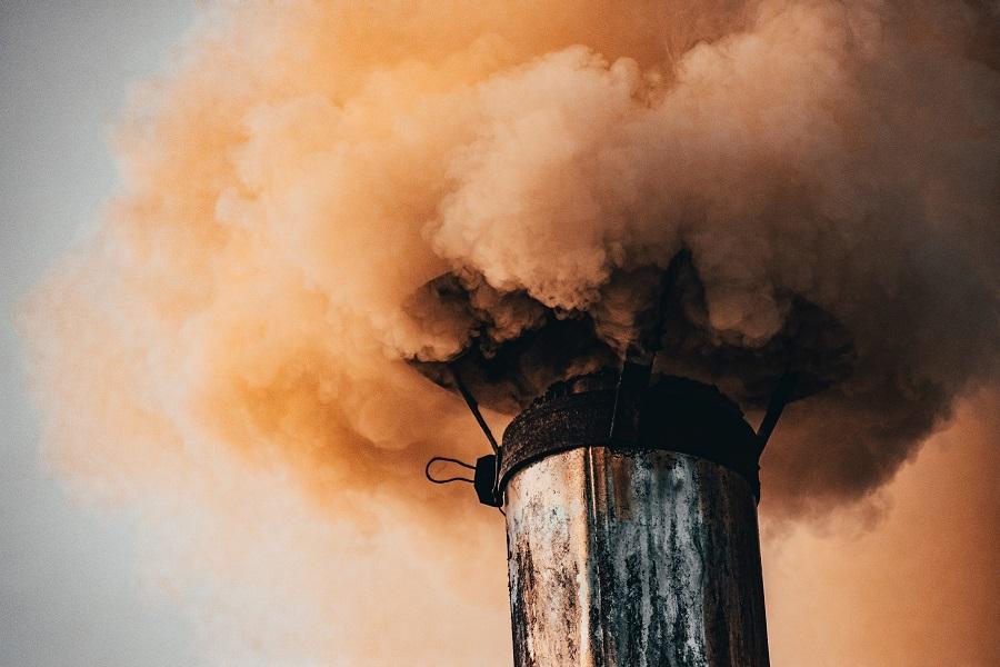 Os ecochatos: existem movimentos inadequados que prestam desinformação ao público