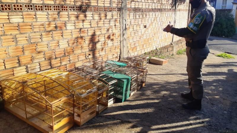 Brigada Militar apreende pássaros em Guaíba; aves em extinção eram mantidas em cativeiro
