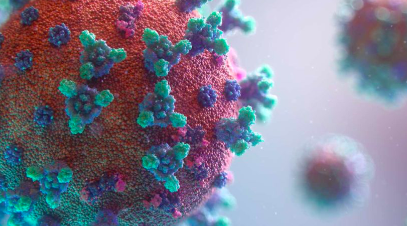 Guaíba registra duas novas mortes por Covid-19 e 37 novos casos nessa segunda; total é de 918 positivos e 23 óbitos