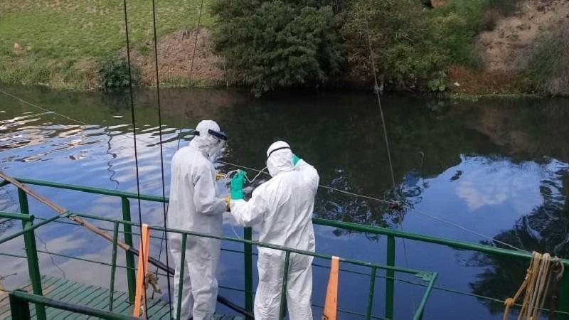 Estudo mostra aumento do coronavírus em arroios da Grande Porto Alegre