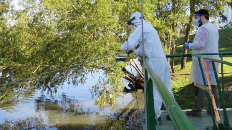 Desacelera detecção de carga viral de coronavírus em esgotos na Grande Porto Alegre