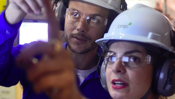 CMPC tem 12 vagas de níveis superior e técnico abertas para atuar em Guaíba; veja como se candidatar