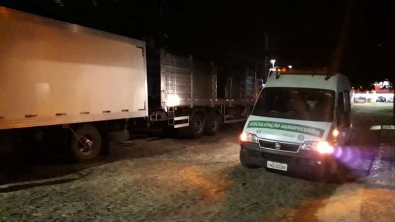 Dez toneladas de carne suína sem procedência são apreendidas em Torres