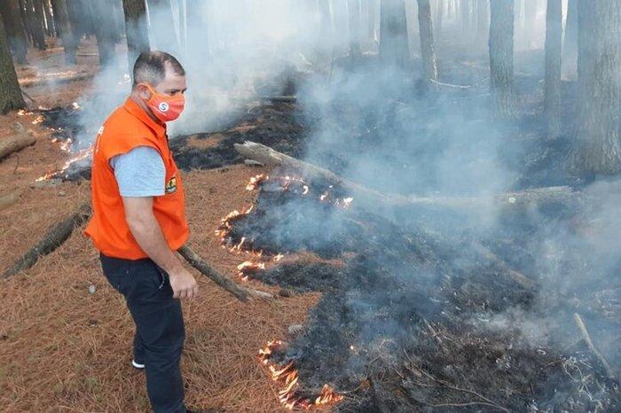 Equipes combatem pontos de incêndio no horto florestal da Cohab/Santa Rita em Guaíba