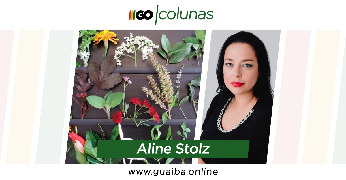 PANCs: conheça e saiba como utilizar as Plantas Alimentícias Não Convencionais