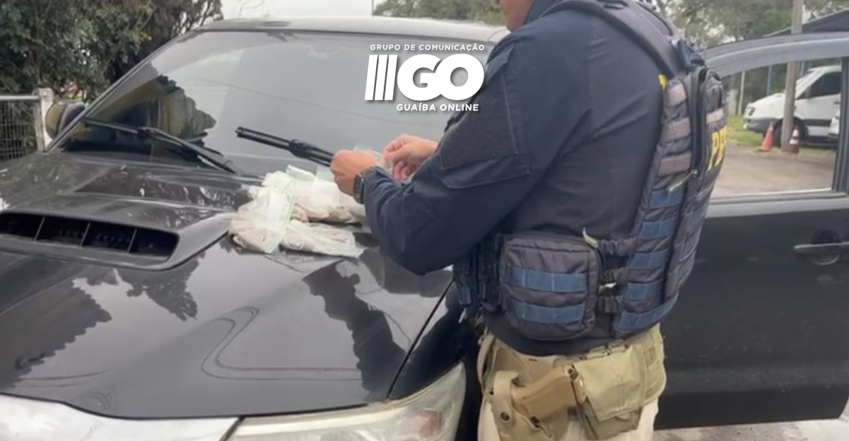 Mais de trinta mil sementes de maconha são apreendidas em Eldorado do Sul