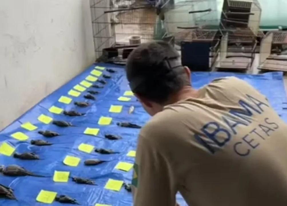 Defensoria Pública ajuíza ação milionário contra loja que deixou animais se afogarem durante enchente