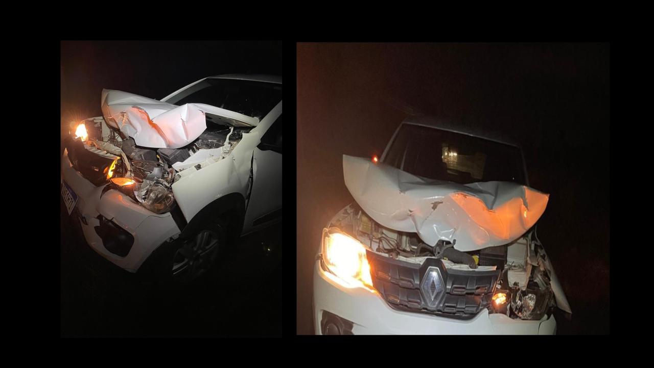 Acidente na Estrada Ismael Chaves Barcelos envolve policial e animais soltos