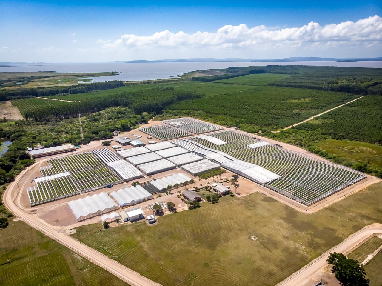 CMPC implementa medidas para combater mudanças climáticas no Rio Grande do Sul