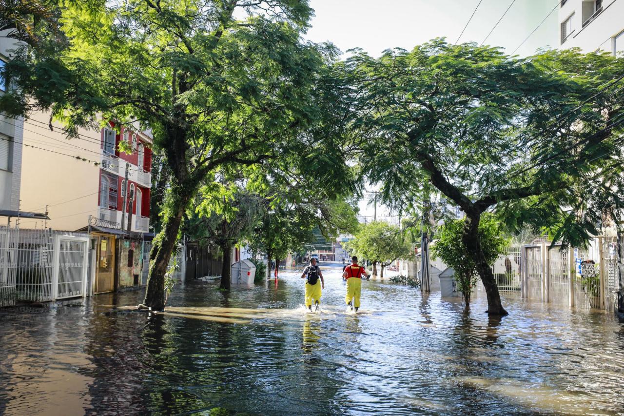 Leptospirose causa 20ª morte no Rio Grande do Sul; mais de 3,8 mil casos estão sob investigação