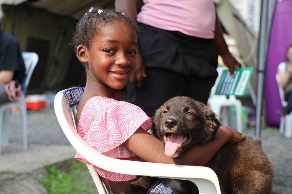 Mais de 30 animais resgatados das enchentes ganham lares por meio de evento no MPRS