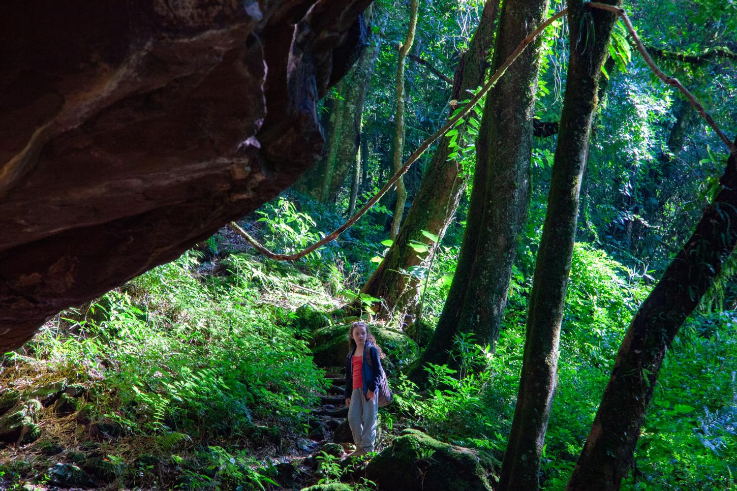 Filme gaúcho entra na lista dos favoritos do público da Mostra De São Paulo