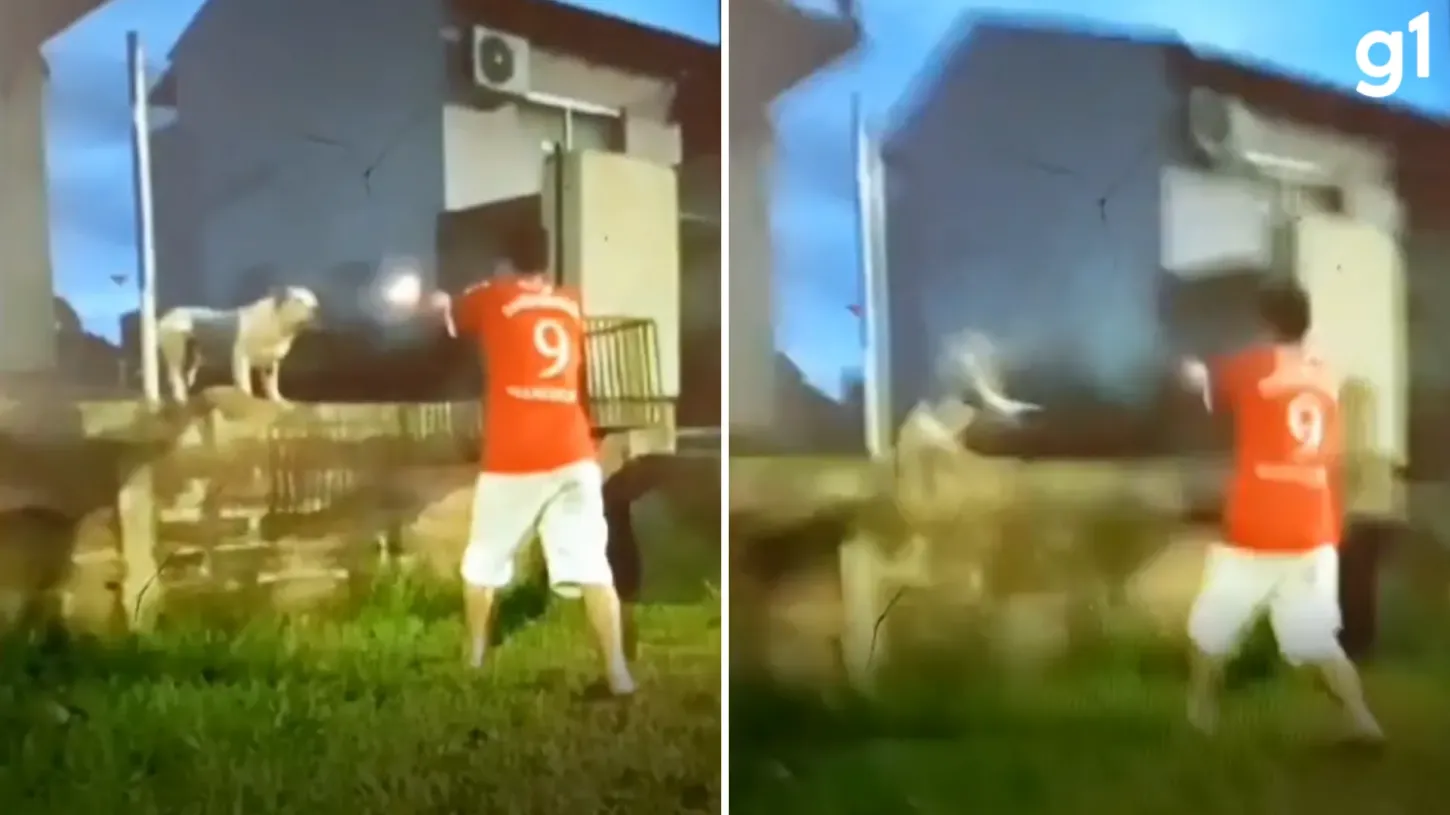 Homem atira contra pitbull no RS; suspeito disse à polícia que animal não obedecia aos comandos.