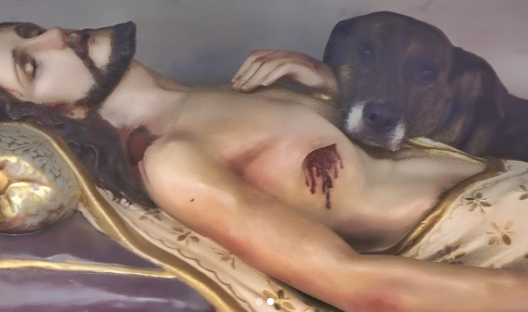 Cadelinha descansa em imagem de Jesus e emociona fiéis em São Paulo