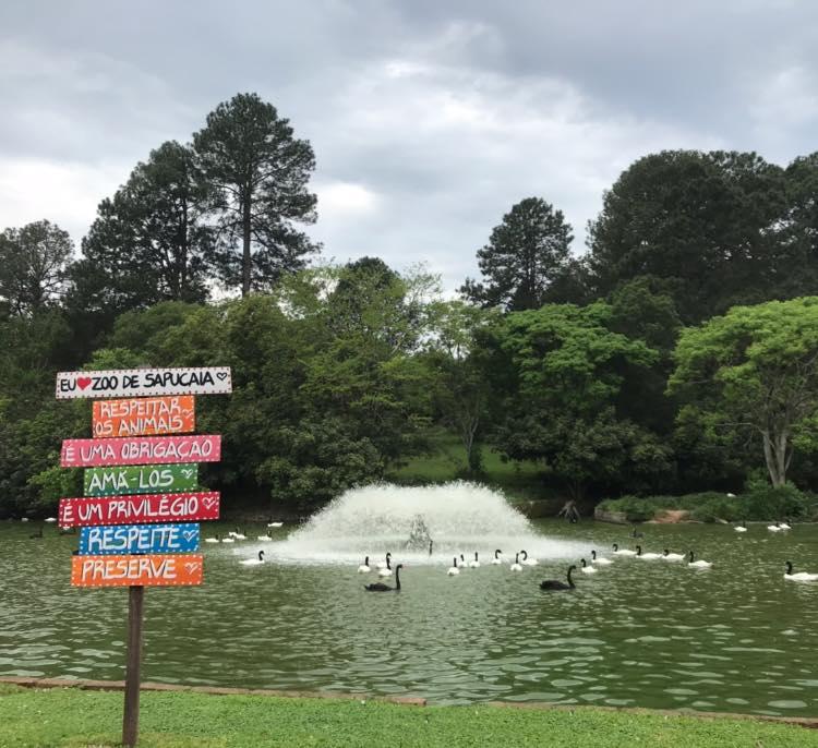 Zoológico de Sapucaia do Sul suspende visitação após confirmação de Influenza Aviária