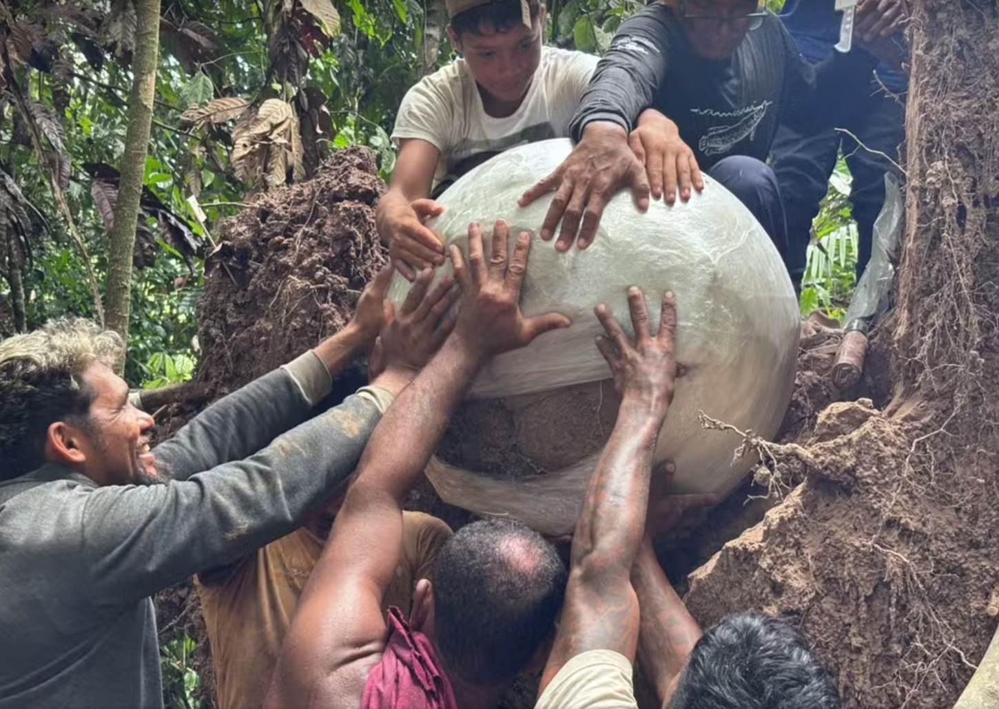 Após queda de árvore, urnas com ossos humanos de milhares de anos são achadas no Amazonas