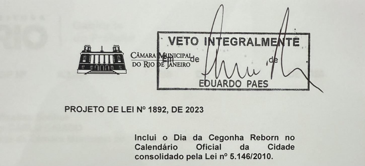 Câmara do RJ aprova criação de data comemorativa para artesãs de bonecas reborn, mas projeto é vetado