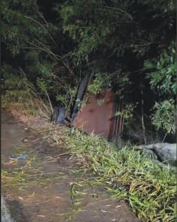 Colisão entre carro e carroça em São Jerônimo fere condutor e mata cavalo