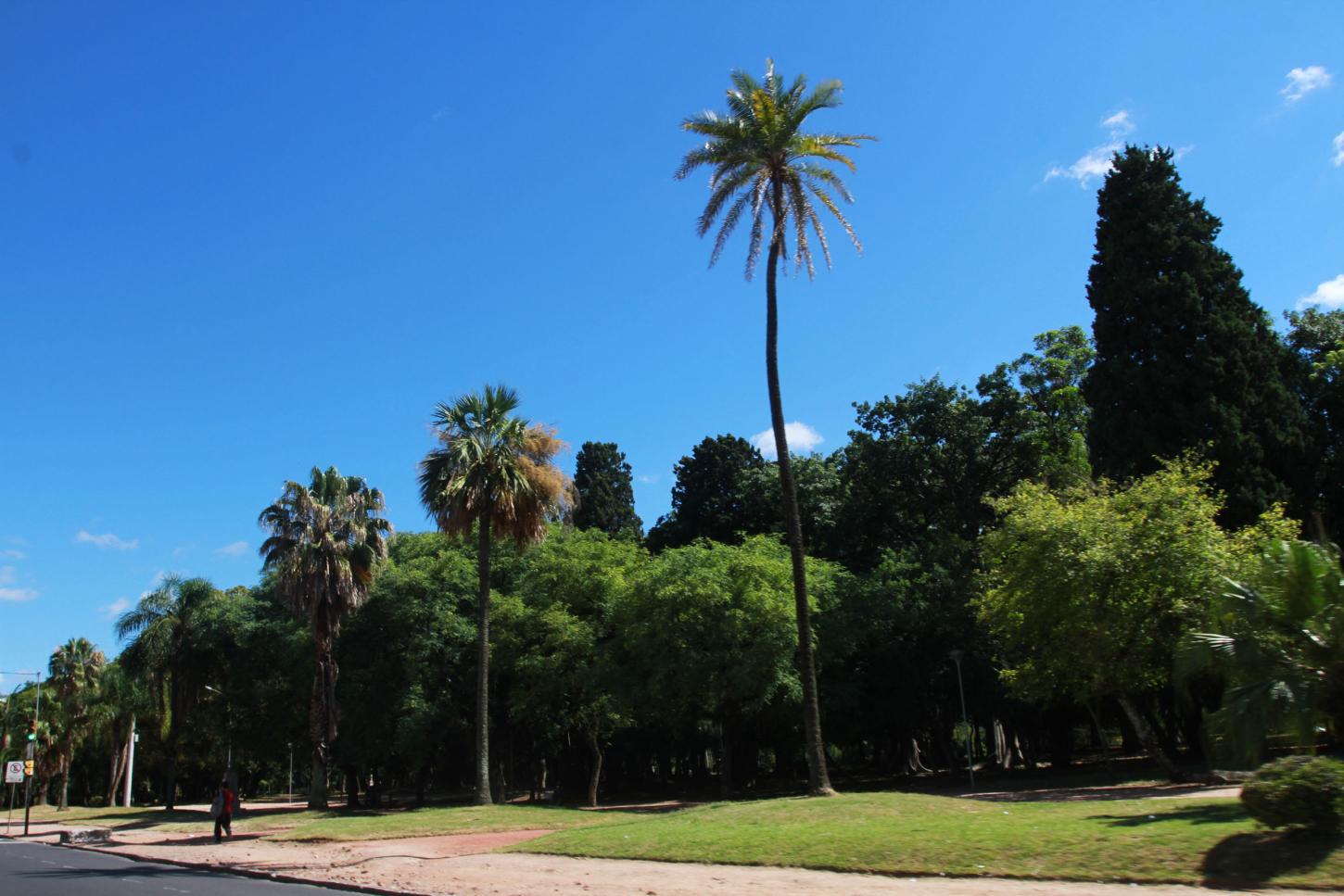 Mudança no clima: sexta-feira com sol em Guaíba e previsão de chuva no RS a partir do sábado