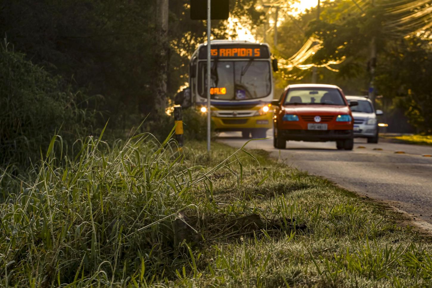 Previsão indica elevação gradual das temperaturas e tempo seco no RS nesta sexta-feira