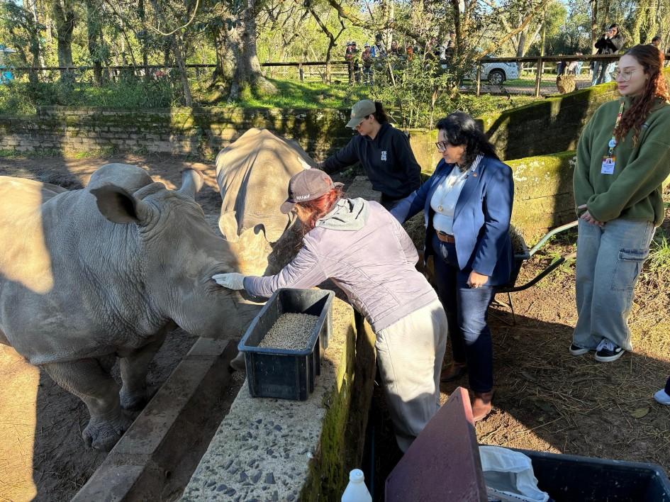 Zoológico de Sapucaia reabre após 80 dias e espera 12 mil visitantes até domingo