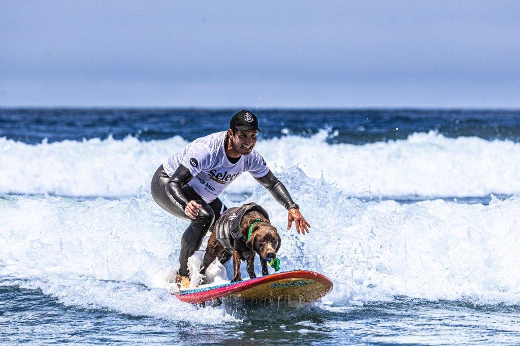 Labradora brasileira conquista principal premiação em campeonato mundial de surfe para cães