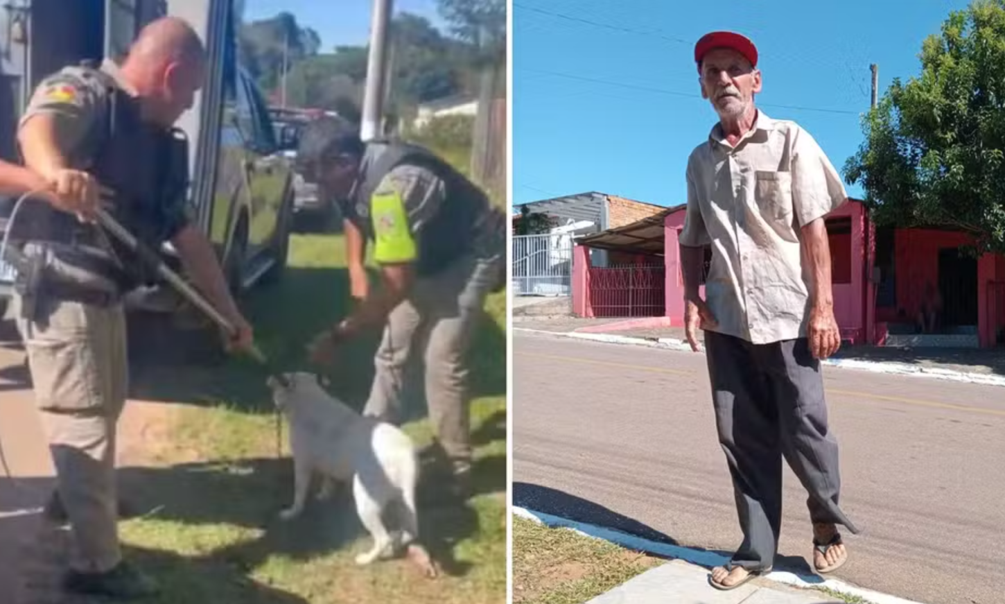 Após ataque a idoso, Minas do Leão regulamenta criação e circulação de cães pit bull