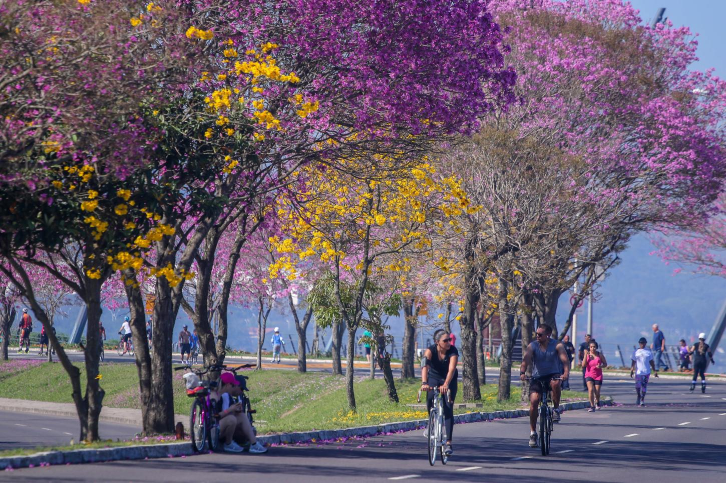 Sexta-feira terá sol no RS antes da chegada da chuva no fim de semana