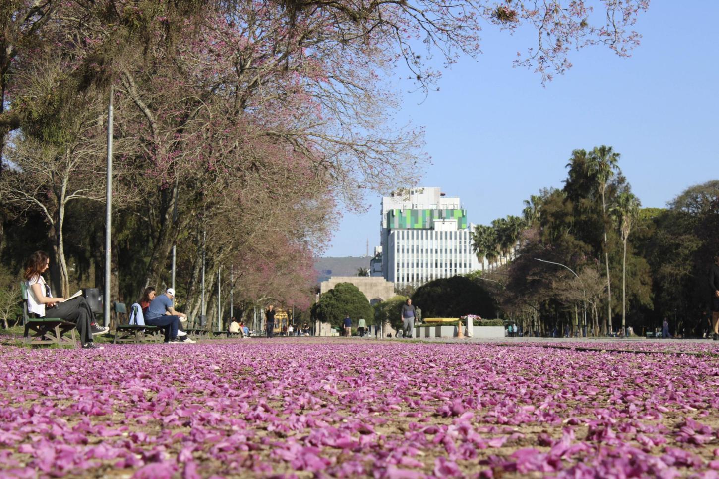 Sol e calor predominam na Região Metropolitana nesta quinta-feira