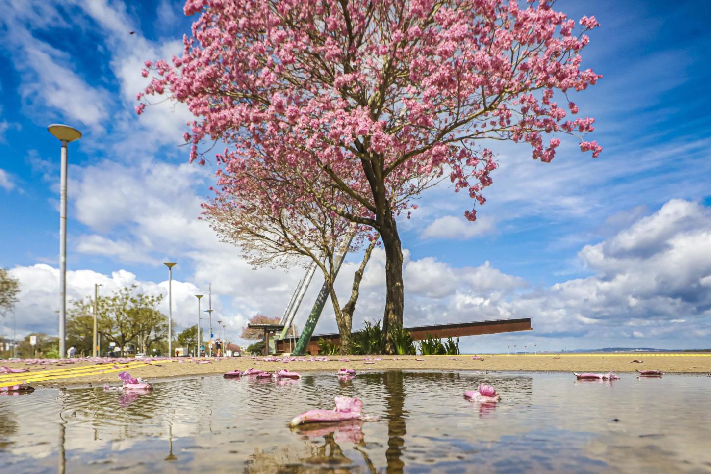 Sol predomina no RS nesta quarta-feira antes da chegada da chuva