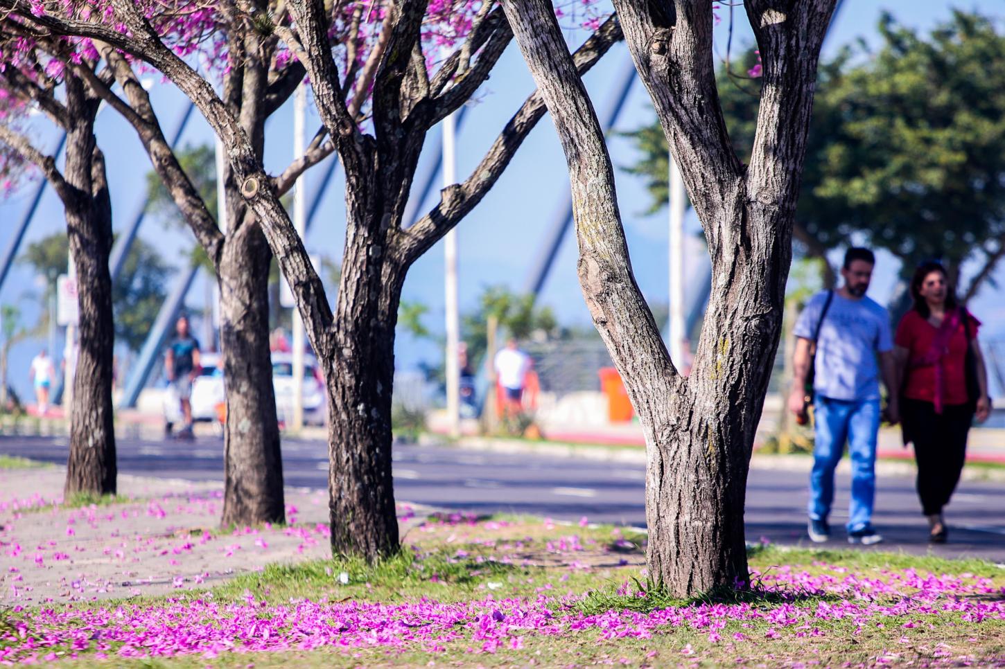 Sol predomina no RS nesta quinta-feira, com mínimas de 10°C e máximas de até 26°C