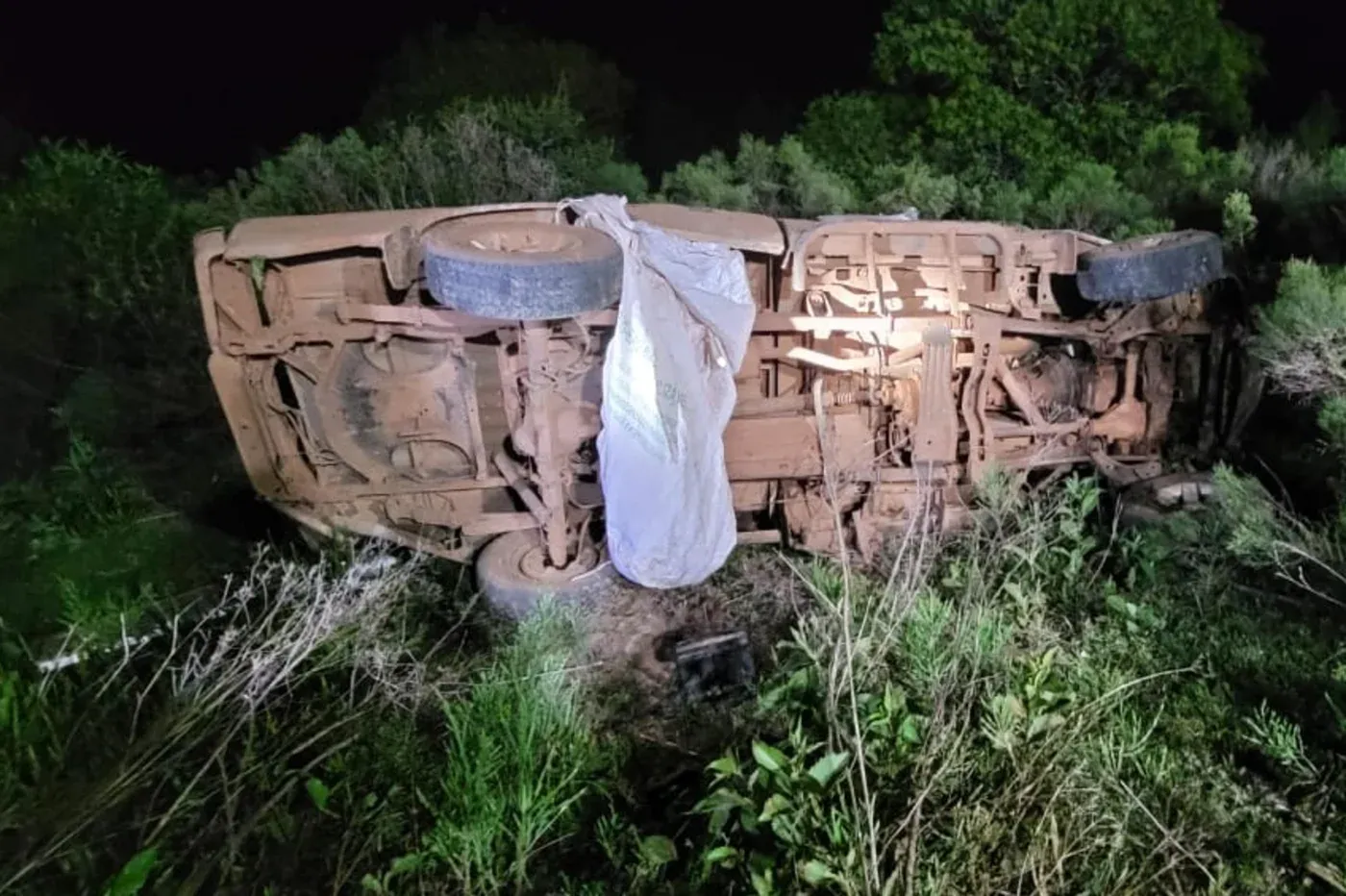 Acidente seguido de ataque de abelhas resulta na morte de pai e filha no interior do RS