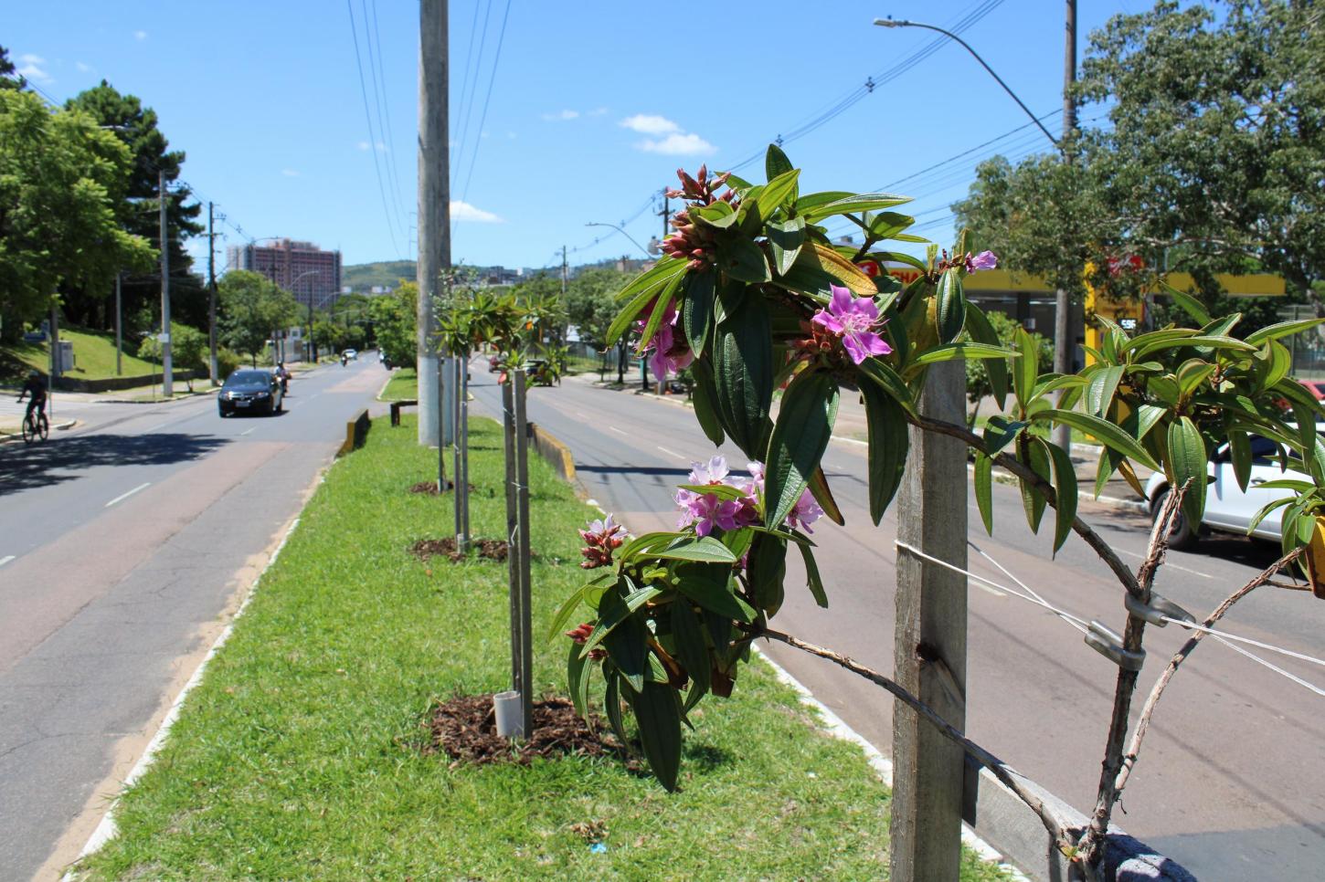 Temperaturas chegam a 30ºC no RS nesta quarta e previsão indica tempo firme na maior parte do Estado
