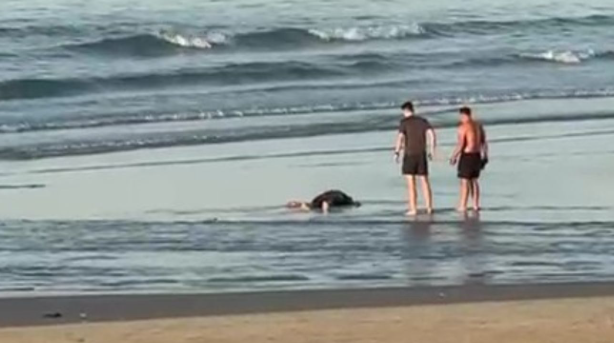 Militar reage a assalto no Guarujá, atira em suspeito que fugia e homem morre na Praia da Enseada