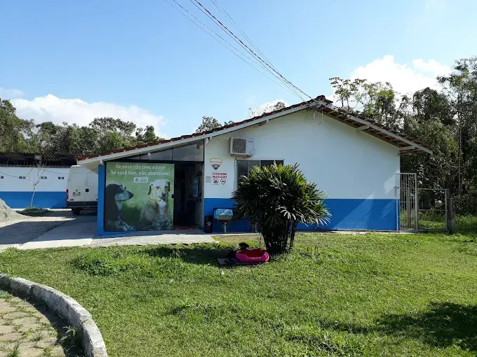 Abrigo animal de Joinville é alvo de apuração do MP após denúncia de eutanásias para liberar espaço