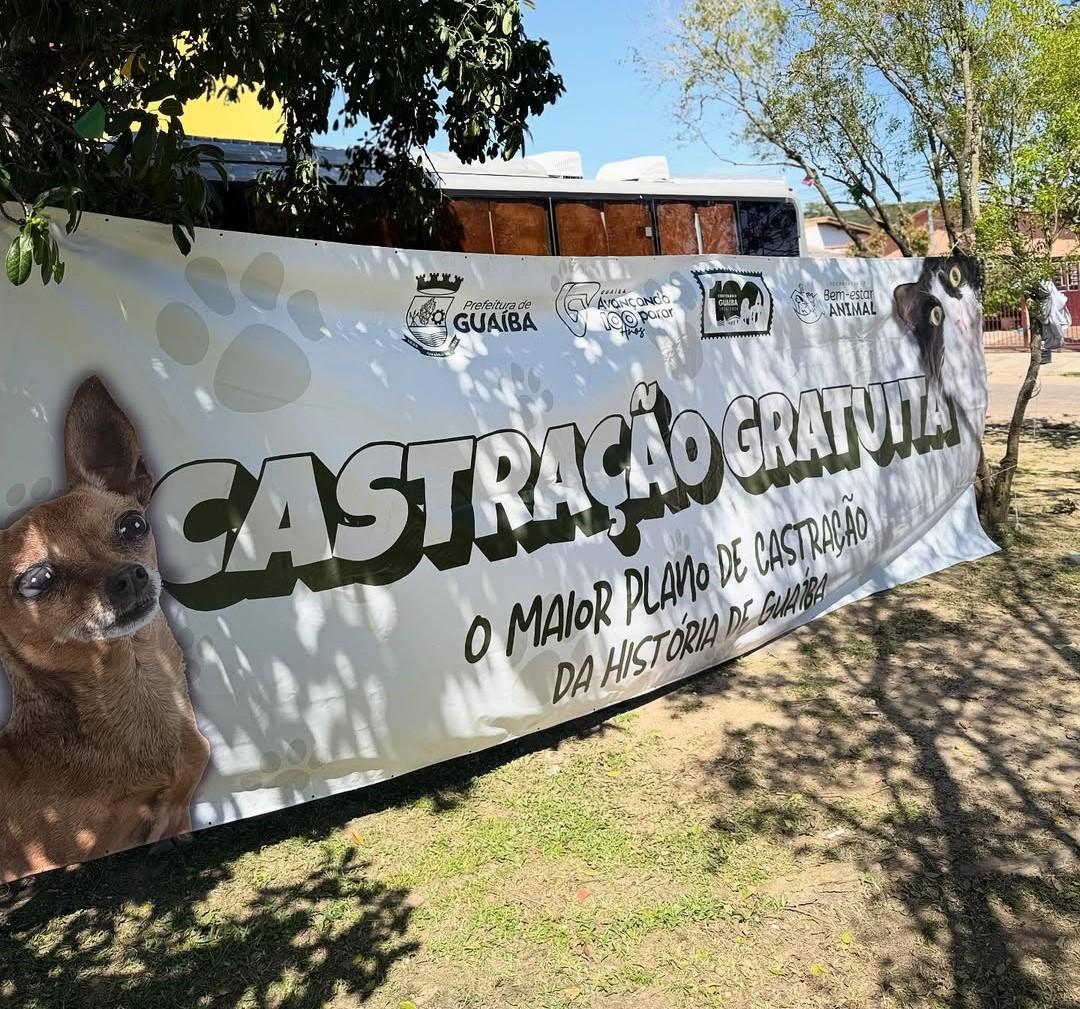 Castramóvel realiza ação de castração gratuita em Guaíba no dia 25 de fevereiro