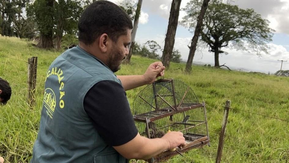 Operação apreende 27 aves silvestres e resulta em três prisões na Região Metropolitana