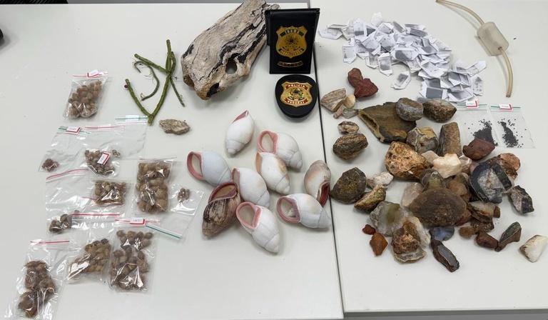 Casal é preso no Aeroporto Salgado Filho por transporte irregular de espécies nativas