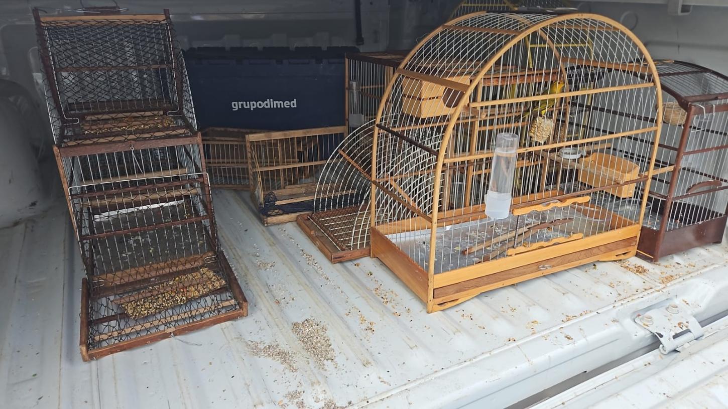 Polícia Civil deflagra Operação Ave de Rapina contra comércio ilegal de armas e animais silvestres