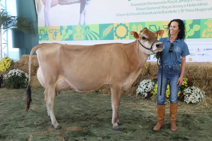 Vaca da raça Jersey atinge 58,72 quilos de leite em 24 horas e estabelece recorde nacional em concurso no RS