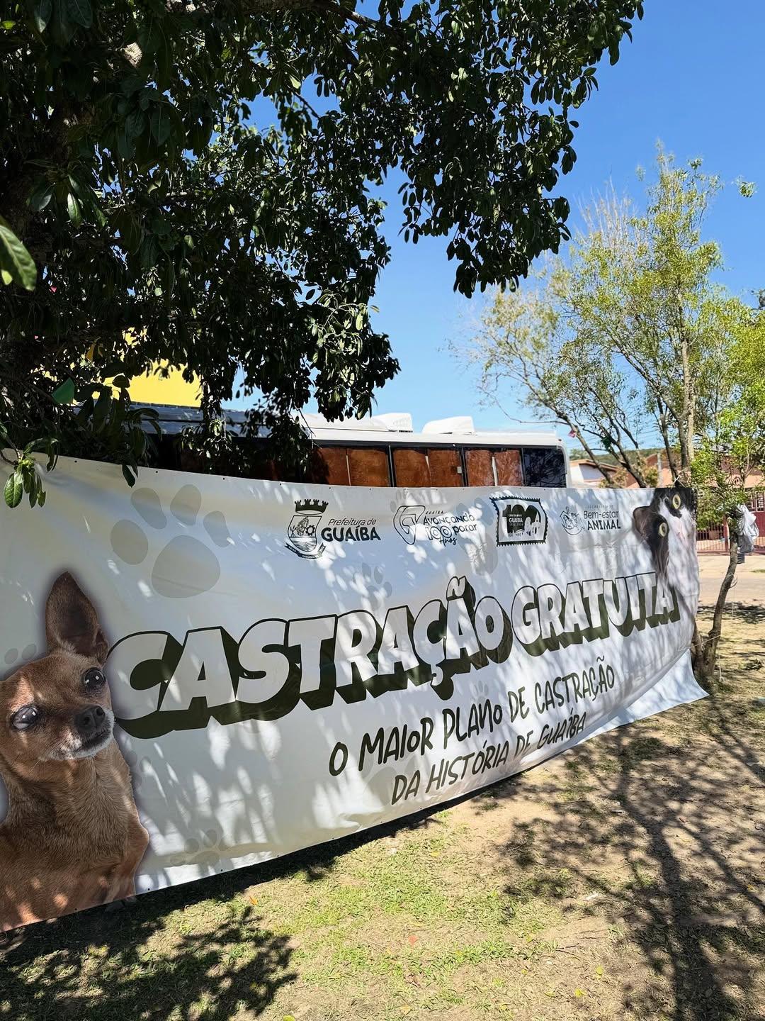 Prefeitura de Guaíba abre 300 vagas para castração gratuita de cães e gatos
