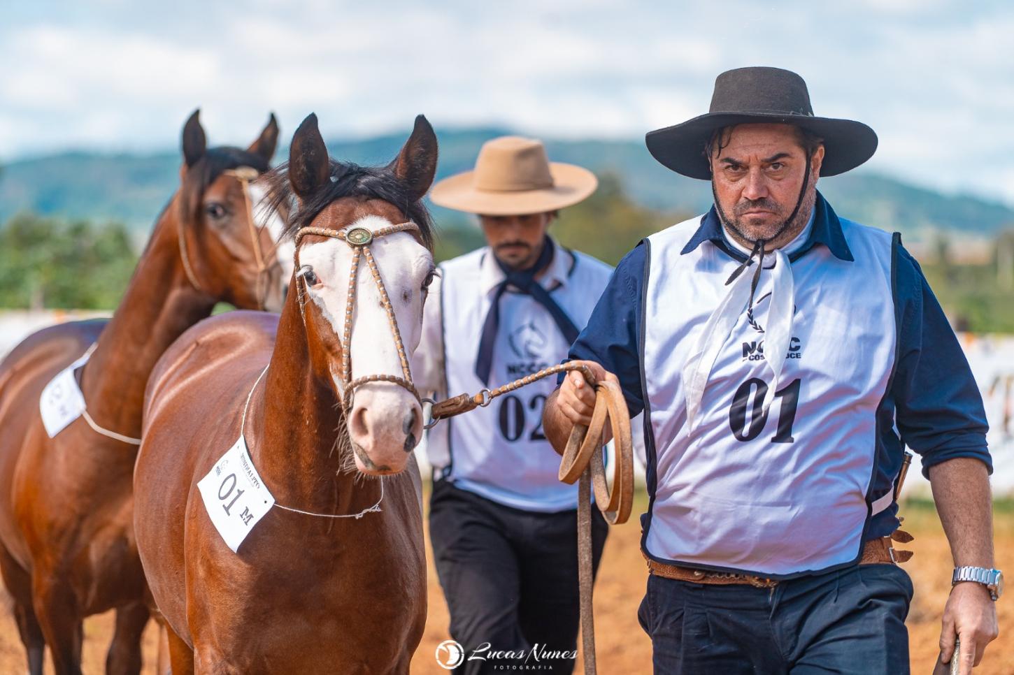 Barra do Ribeiro recebe Exposição Morfológica em 18 de abril