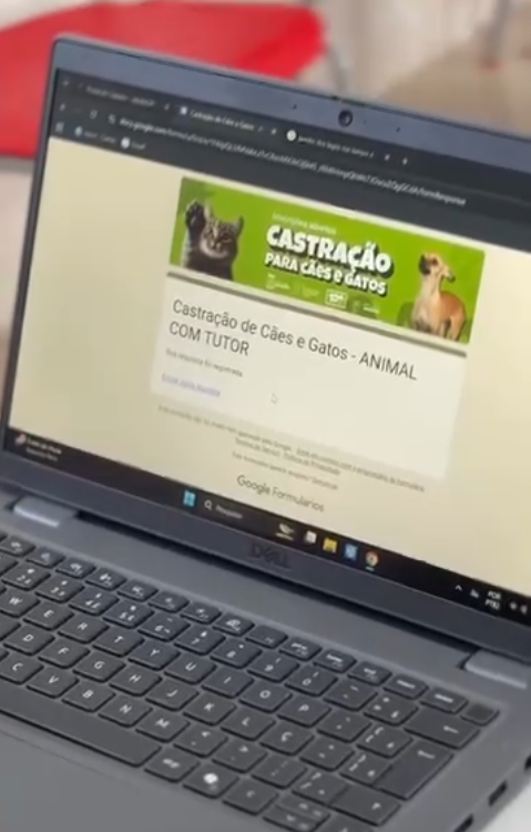 Ação de castração gratuita no centro de Guaíba terá vagas limitadas para 300 animais; Saiba como participar
