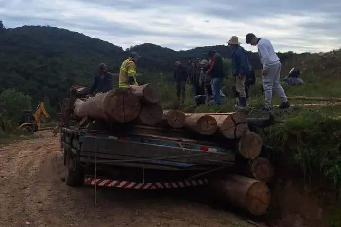 Carga de toras de eucalipto desaba durante trabalho e provoca morte de trabalhador no interior gaúcho