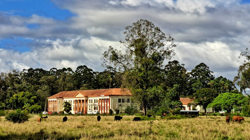 Centro de pesquisa em saúde animal de Eldorado do Sul receberá R$ 4,4 milhões para reforma