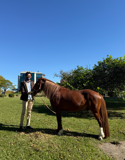Escultor que eternizará Caramelo em monumento visita cavalo na Ulbra Canoas