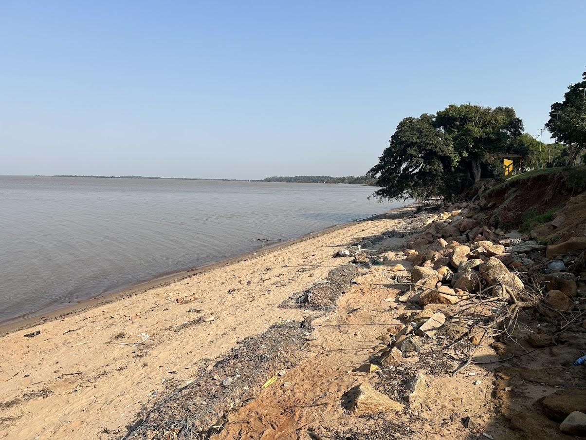 Pesquisa da Ufrgs aponta que bactéria identificada no Guaíba não apresenta indícios de proliferação