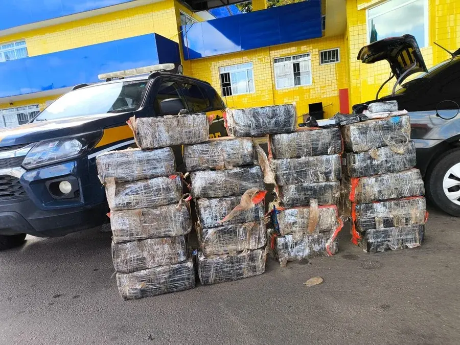 PRF apreende 397 quilos de maconha e 137 ampolas de medicamento irregular em veículo com placas de Guaíba